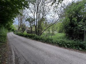 Photo 6- click for photo gallery